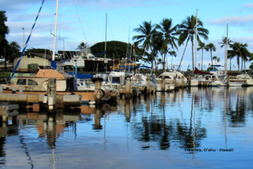 Haleiwa Home Values
