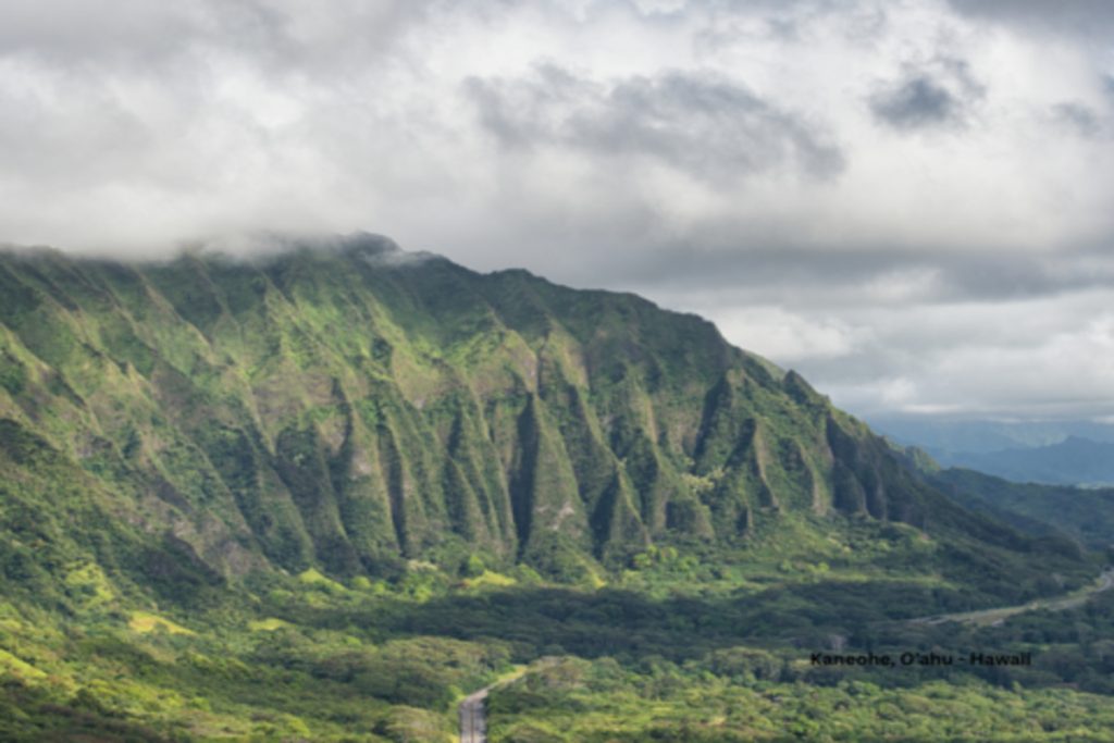 Kaneohe Home Values